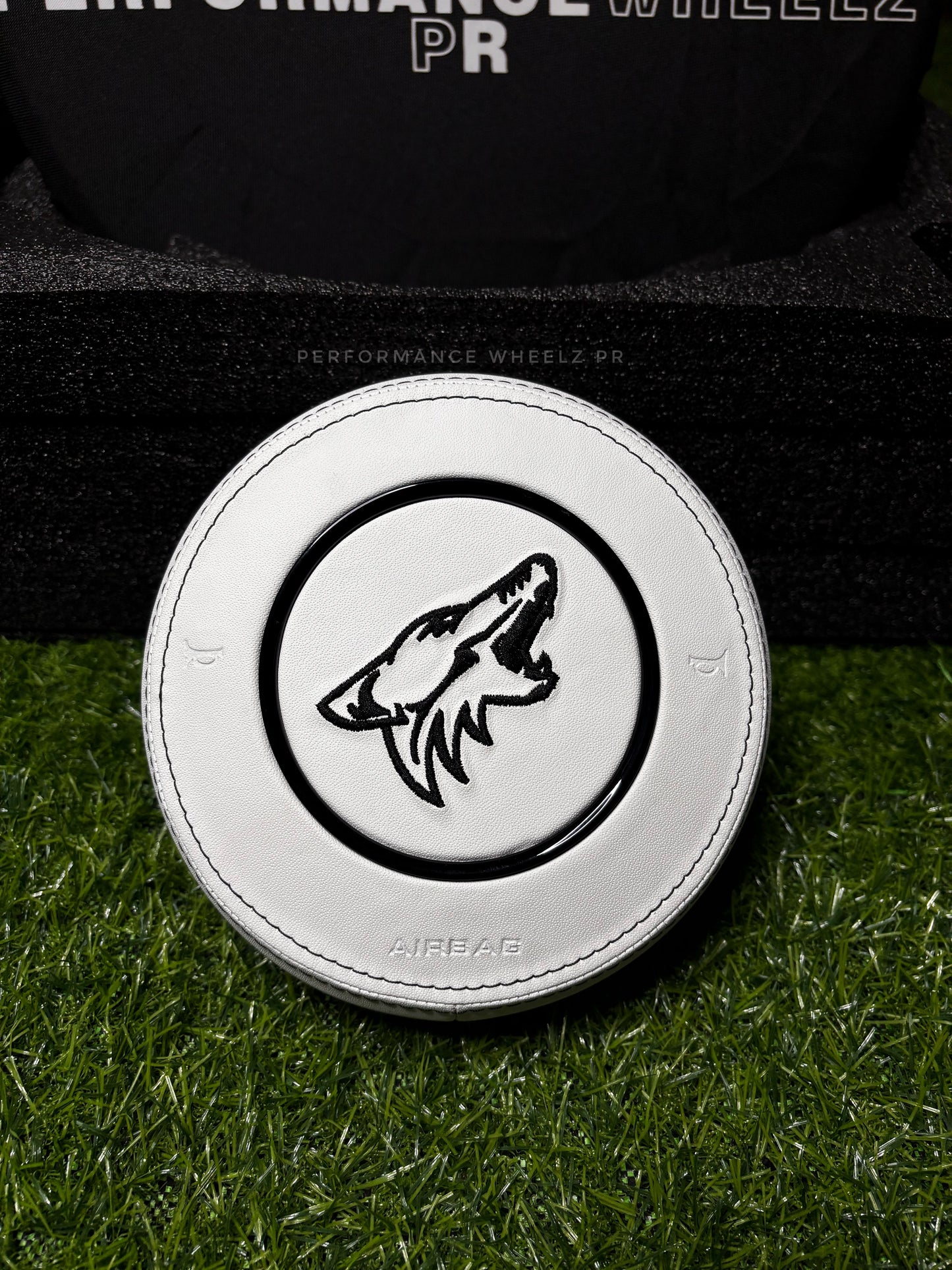 Mustang Custom Airbag Cover