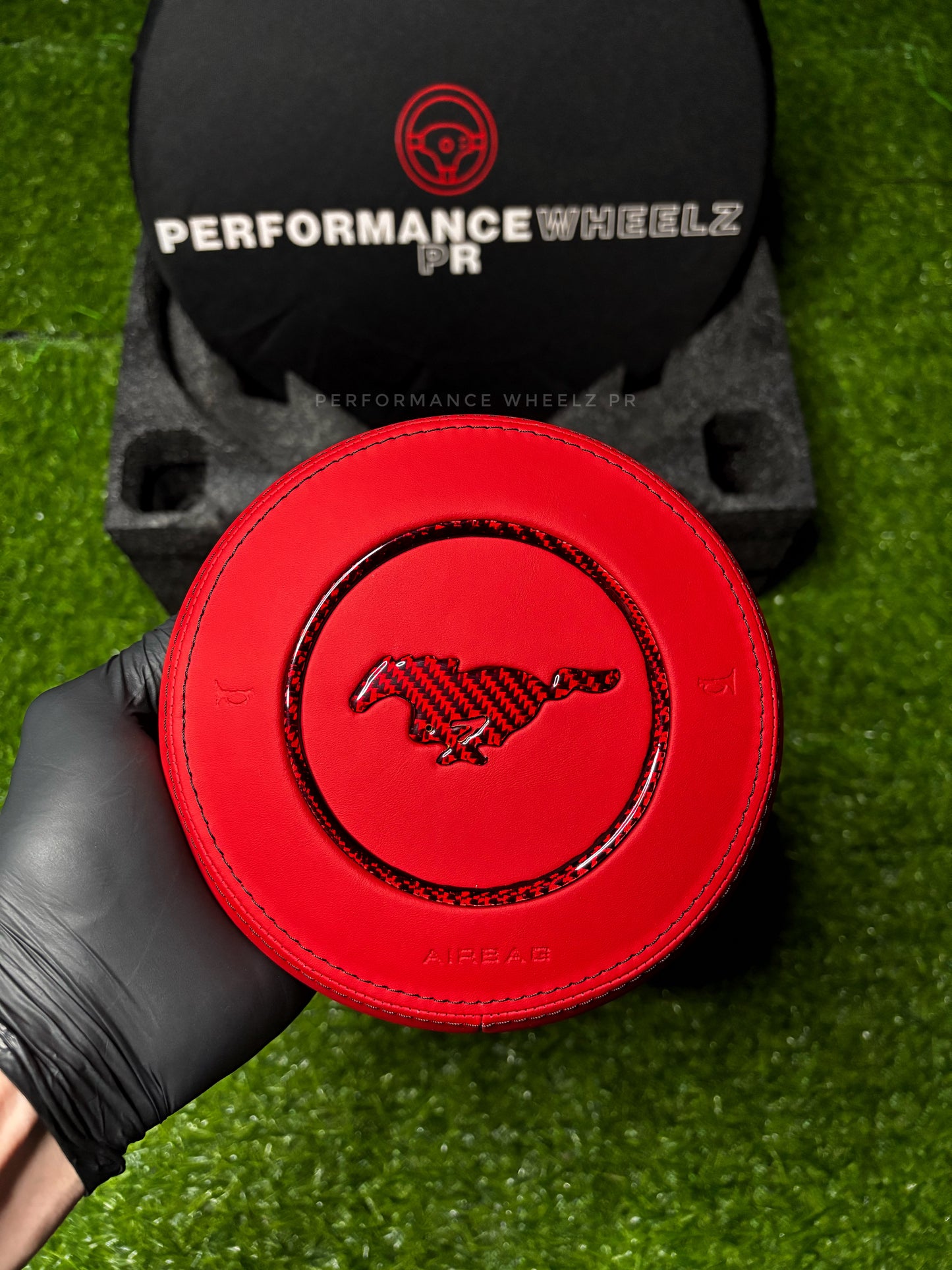 Mustang Custom Airbag Cover