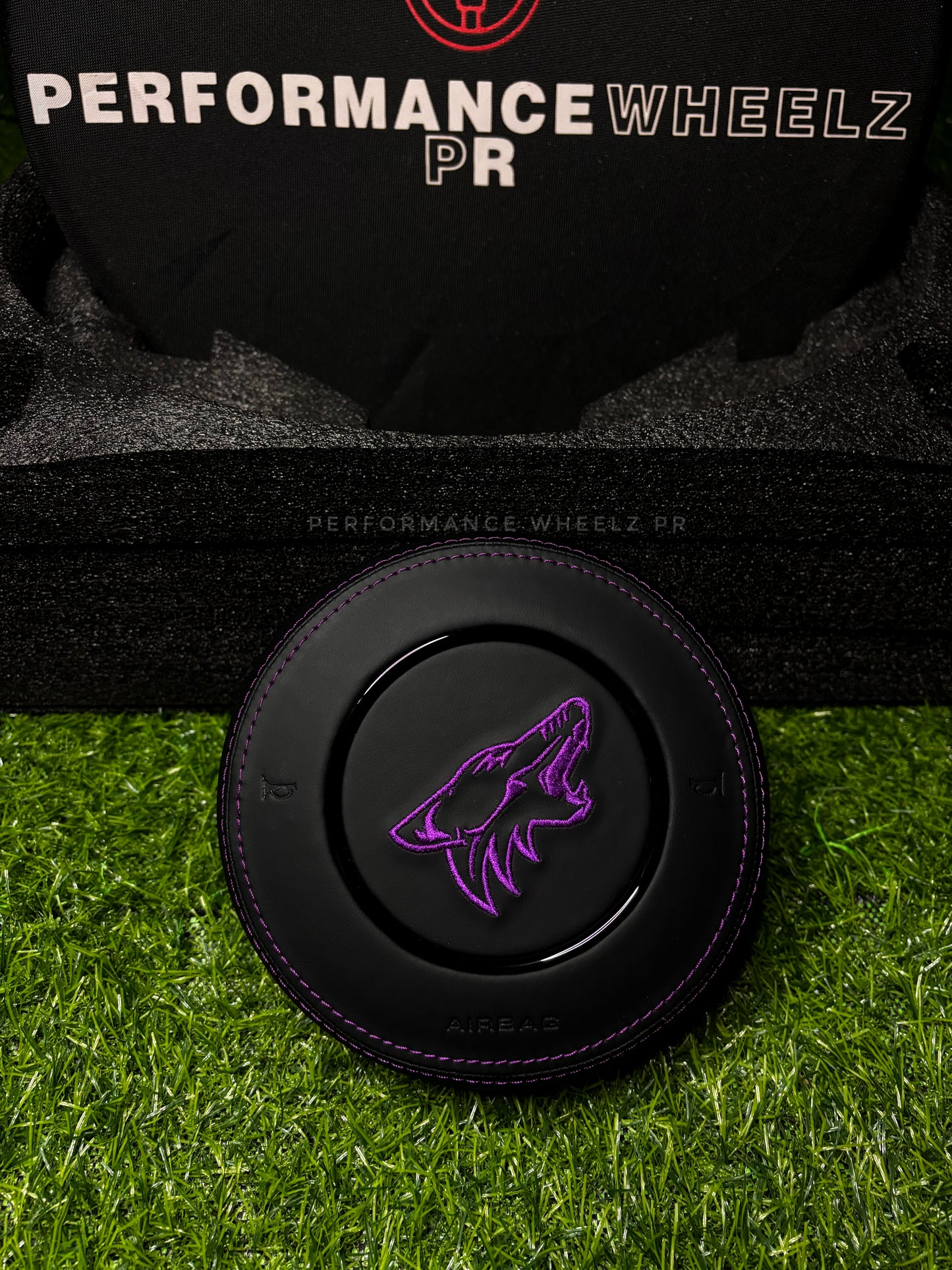 Mustang Custom Airbag Cover